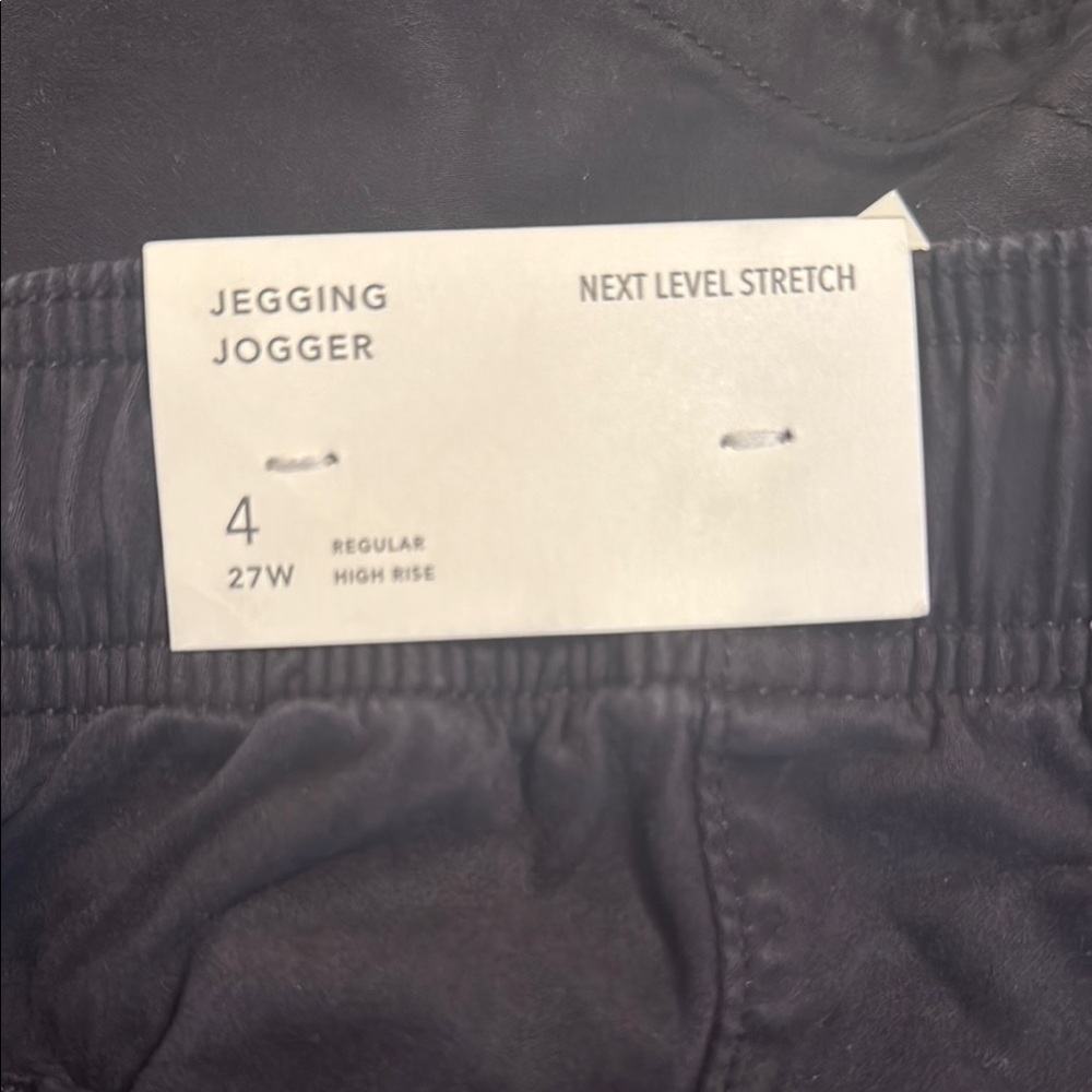 American Eagle Outfitters Jegging Jogger - Picture 3 of 4
